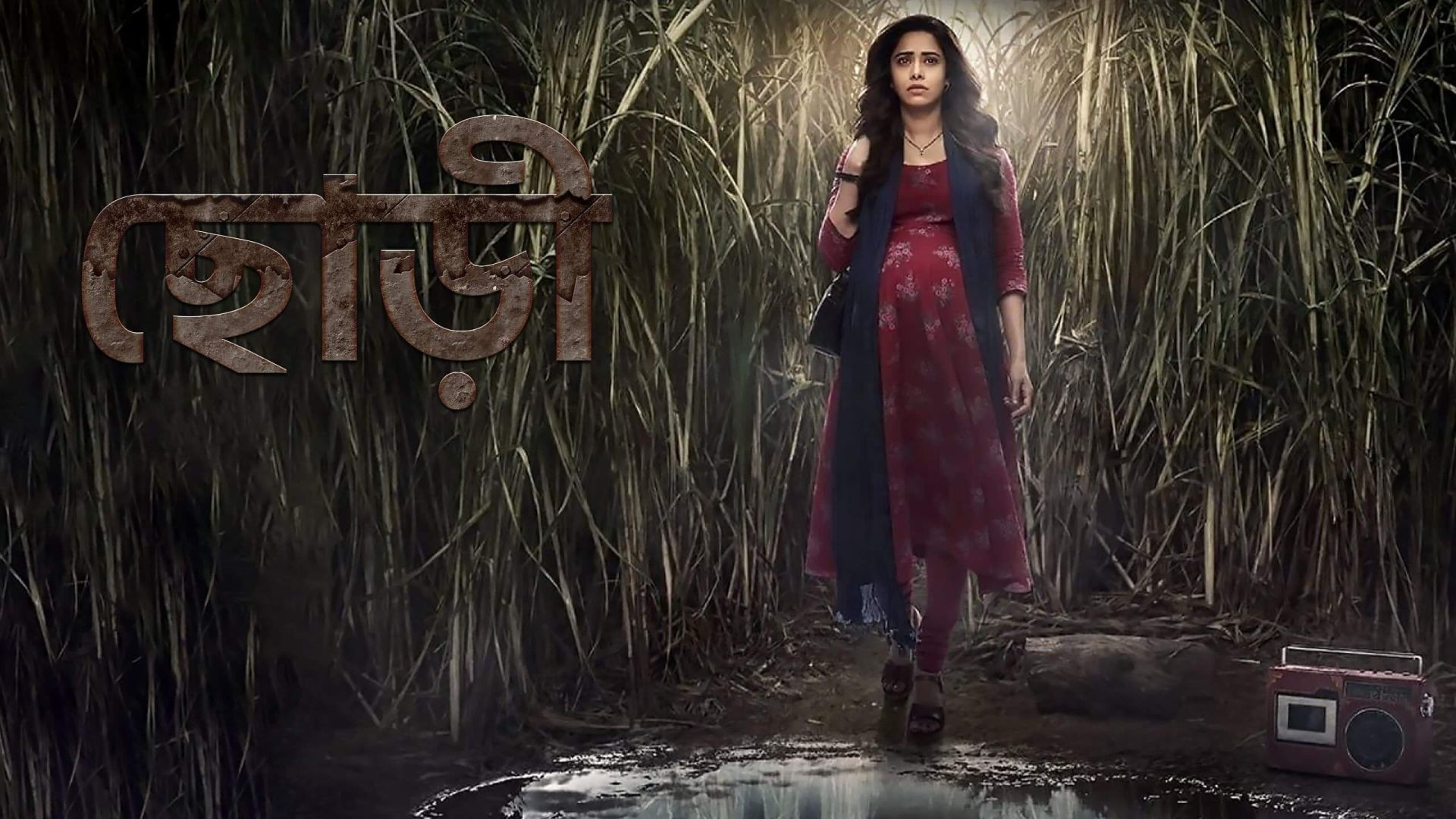 Chhorii (2024) Bengali Dubbed WEBRip 720P